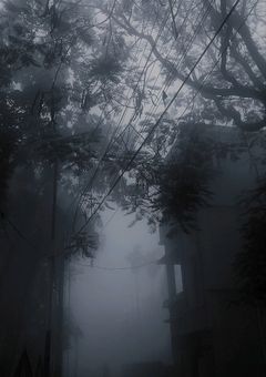 氷の上のお嬢様