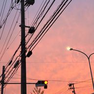 Naaassaさんのアイコン画像