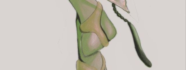 Ruiさんの壁紙画像
