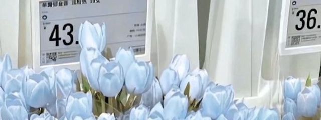 ㅤつㅤむㅤぎㅤさんの壁紙画像