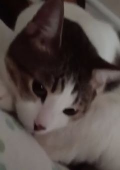 お菓子作り部屋