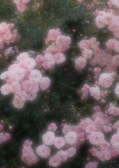 #今日好きになりました。