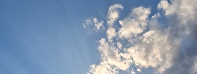 Ayaさんの壁紙画像