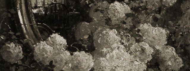 🤎さんの壁紙画像