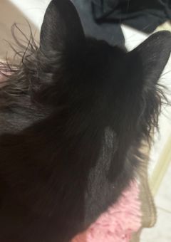 クトゥルフしませんかっていう部屋