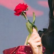 スイさんのアイコン画像