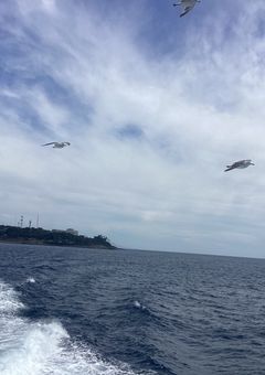 ぽん酢さん専用部屋