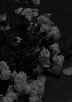 グレーゾーン【東方仗助】