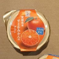 ❄️しゅんさんのアイコン画像