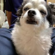 わたあめさんのアイコン画像