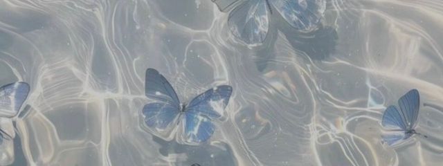 yukiさんの壁紙画像