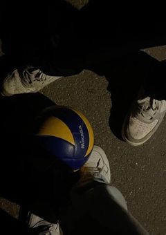 バレーボールの女王様達