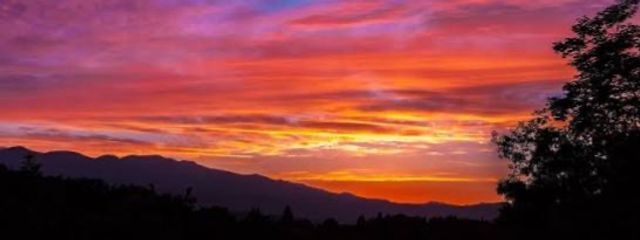 猫は神だと思ってる花園　芽衣@ふくろうとペア画中さんの壁紙画像