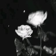  ए ਰਿさんのアイコン画像