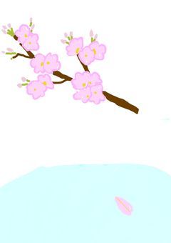 桜が散る前に