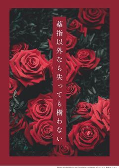 薬指以外なら失っても構わない