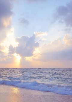 カラフルピーチとの別れ　参加型