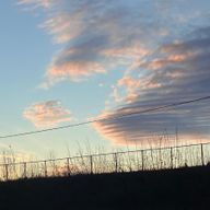 あいらんどさんのアイコン画像