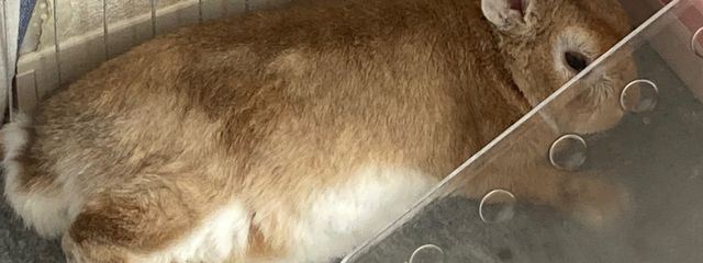 奈　🌸📚🪄さんの壁紙画像