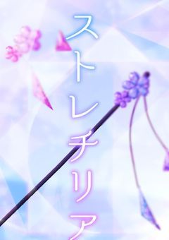 たった一つのストレチリア　「参加型」