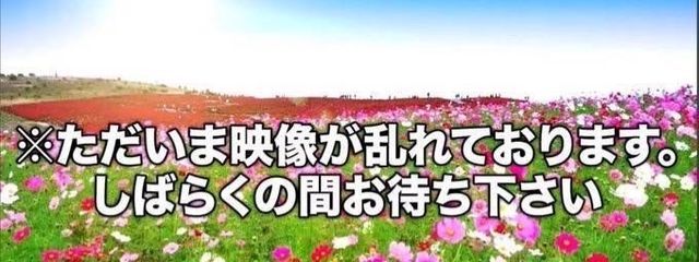 メガネん@夜更かしサイコーさんの壁紙画像