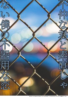 不仲な君と素直じゃない僕の不器用な恋