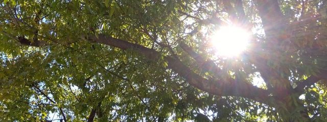 あっぷる　🎶🐈‍⬛ ͗　＠活動再開さんの壁紙画像