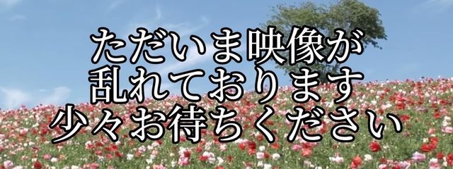 道端に落ちてた下まつ毛さんの壁紙画像