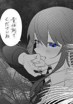 《過去編》私の、私による、私のための