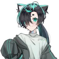 黒猫🐈‍⬛のるく@誰かに尊敬されたいさんのアイコン画像