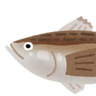 善成さんのアイコン画像