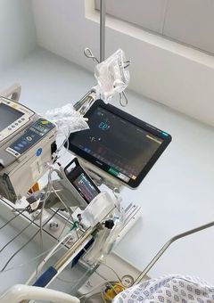 苦手な先生6人に拾われました 。