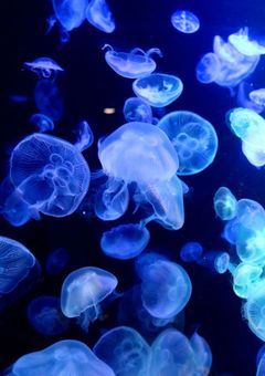 せなのBL事情〜