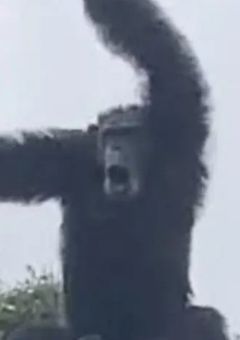 雑談