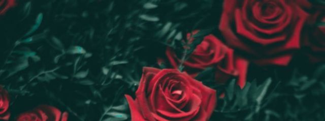 ぐんそさんの壁紙画像