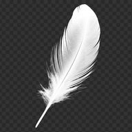 Strixさんのアイコン画像