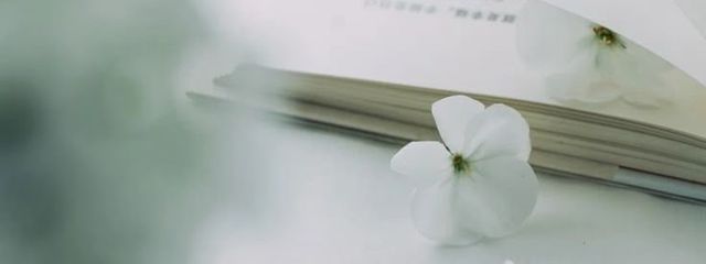 # 紺@こん .さんの壁紙画像