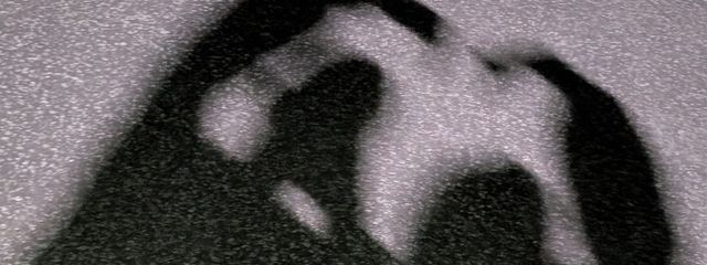 Ko_koさんの壁紙画像