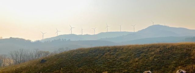 47版さんの壁紙画像