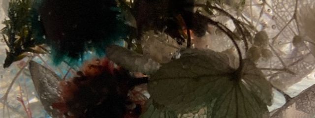 è®å€¢/Lemuð©»ð«@ãã°ããæŽ»åäŒæ¢ããã®å£çŽç»å