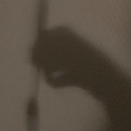 蓮夢/Lemu🩻🫙@しばらく活動休止さんのアイコン画像