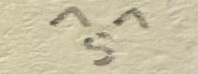 ただのかにもんすたーさんの壁紙画像