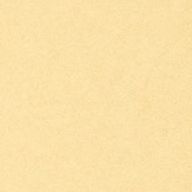 MX。さんのアイコン画像