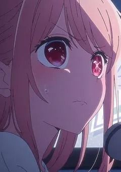 　公安所属の愛されヒロイン