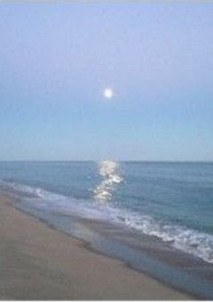 ammy  │    わたしとあなたのハッピーシュガーライフ