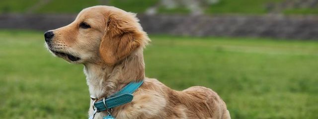 ｴﾇ(ง *¯□¯)วｴﾇさんの壁紙画像