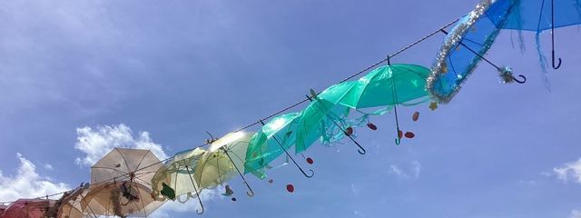 名無しの苔さんの壁紙画像