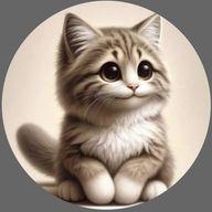 にゃんちゃるさんのアイコン画像