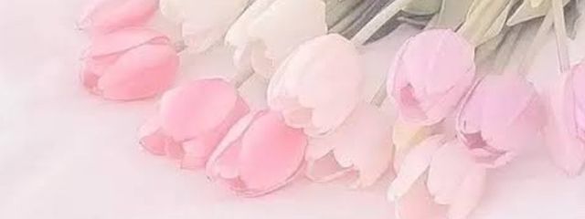 光紗さんの壁紙画像