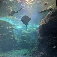 haruさんのアイコン画像